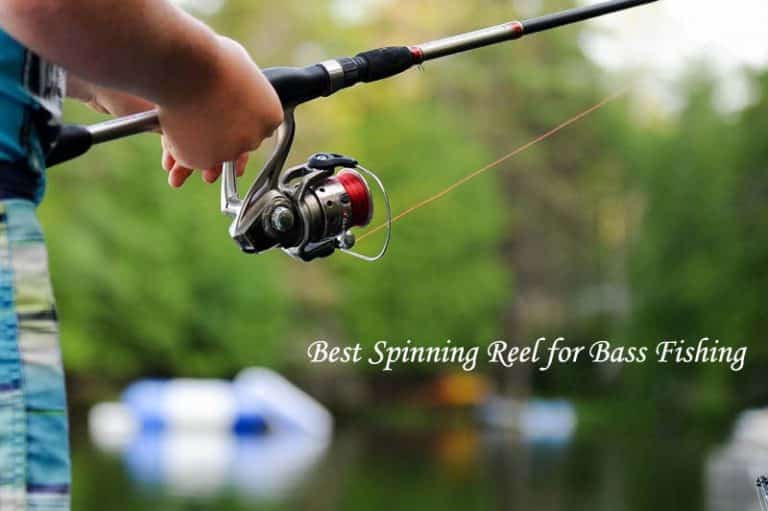 Best Spinning Reel for Bass Fishing